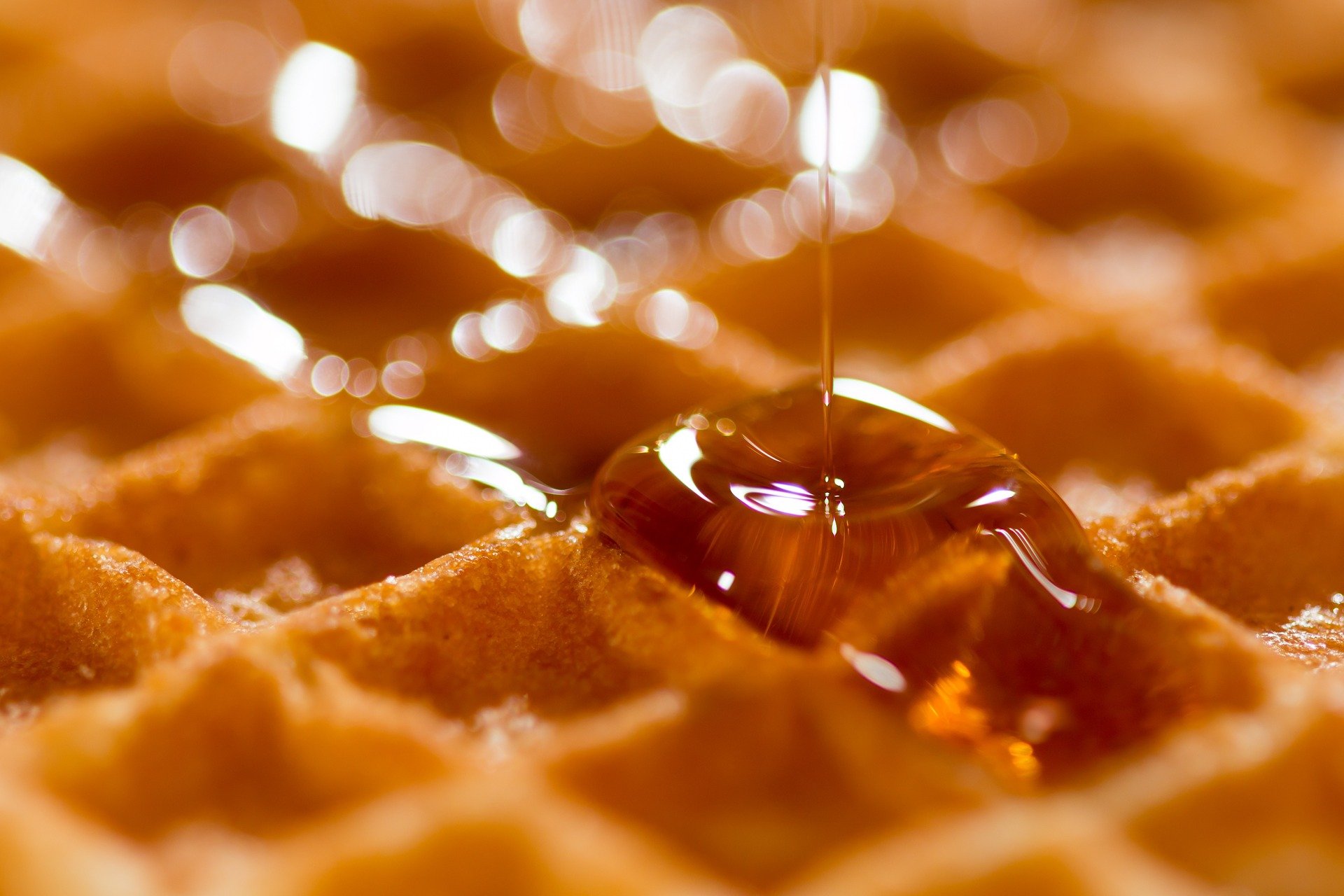 Read more about the article Waffles